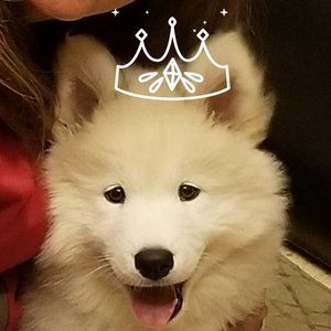 Meet your Posher, Leticia